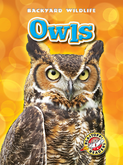 Title details for Owls by Kari Schuetz - Available